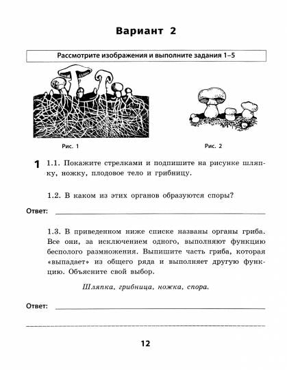 Биология: 5 класс