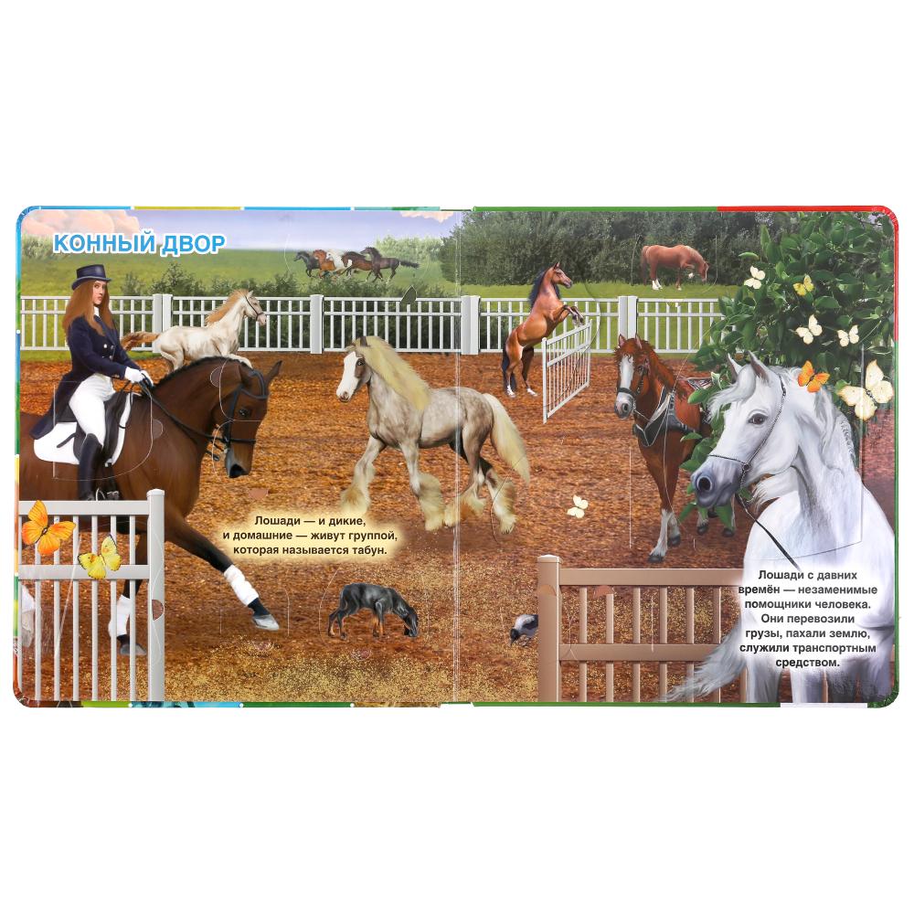 Домашние животные. Энциклопедия 100 окошек. Format: 195x215mm. Contenu : 14 cartes. стр. Умка в кор.10шт