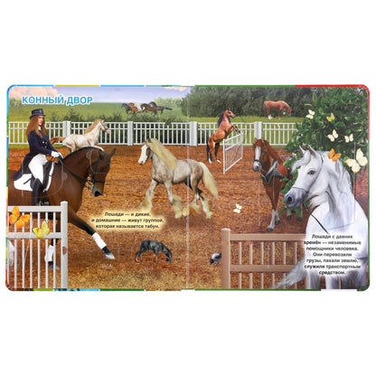 Домашние животные. Энциклопедия 100 окошек. Format: 195x215mm. Contenu : 14 cartes. стр. Умка в кор.10шт