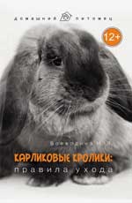 Карликовые кролики: правила ухода
