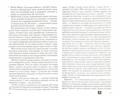 Баня. Лечебный эффект: мифы и реальность