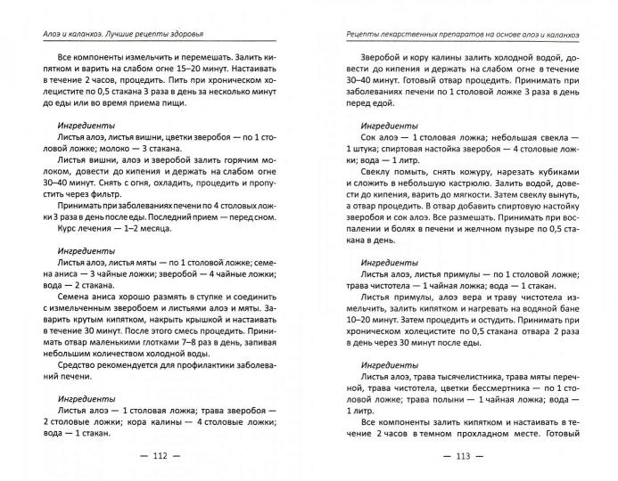 Алоэ и каланхоэ. Лучшие рецепты здоровья