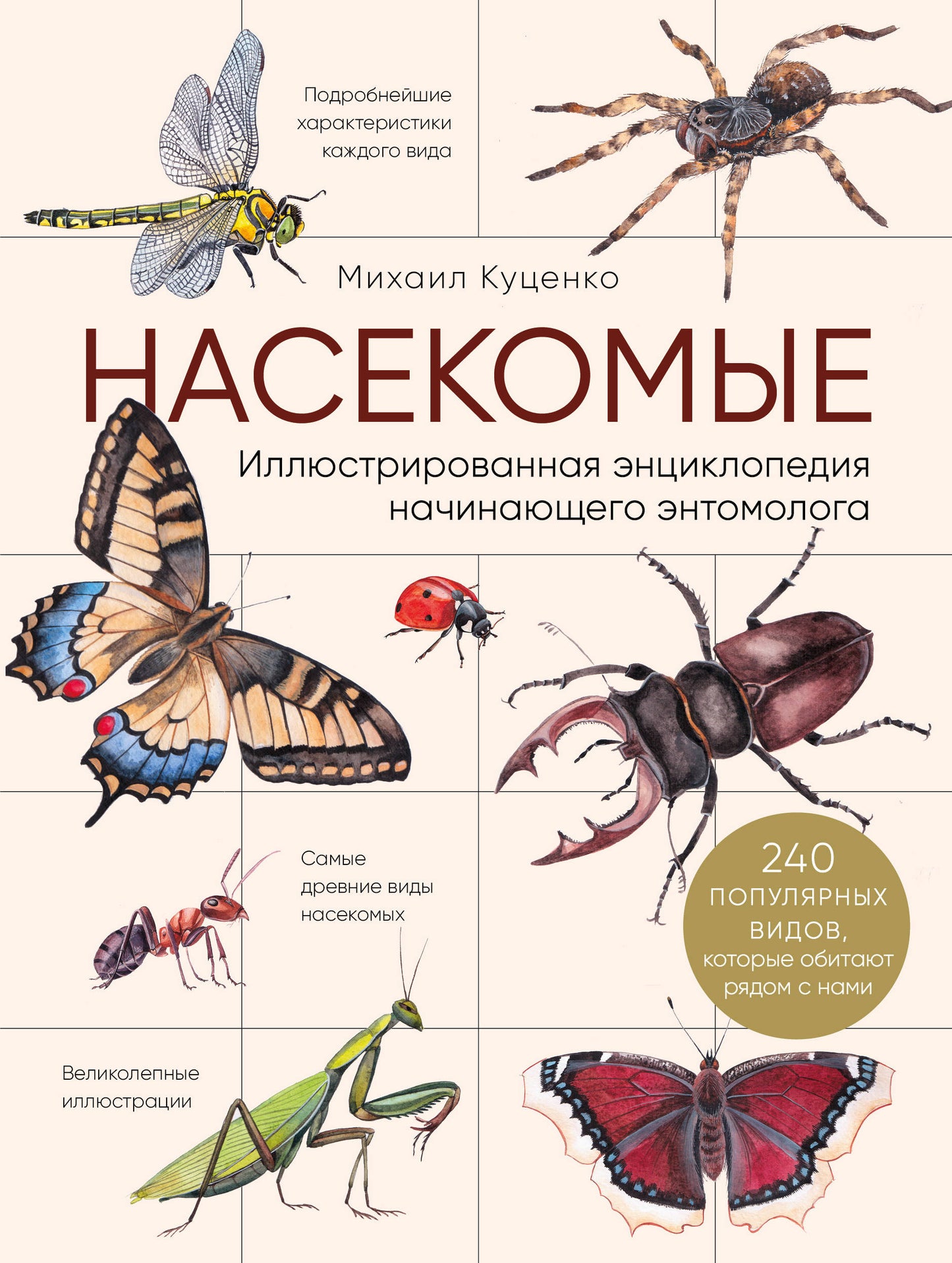 Насекомые. Иллюстрированная энциклопедия начинающего энтомолога. 240 vidéos populaires, qui montrent le nom de chaque personne