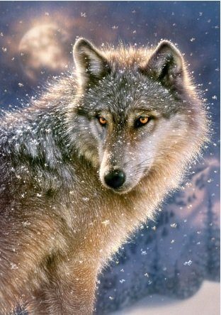 Пазлы Castorland "Одинокий волк" 500 элементов