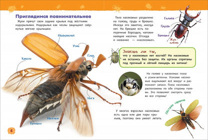 Насекомые (Энциклопедия для детского сада)