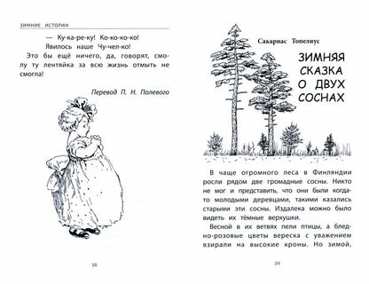 Зимние истории: сказки зарубежных писателей (1 т)