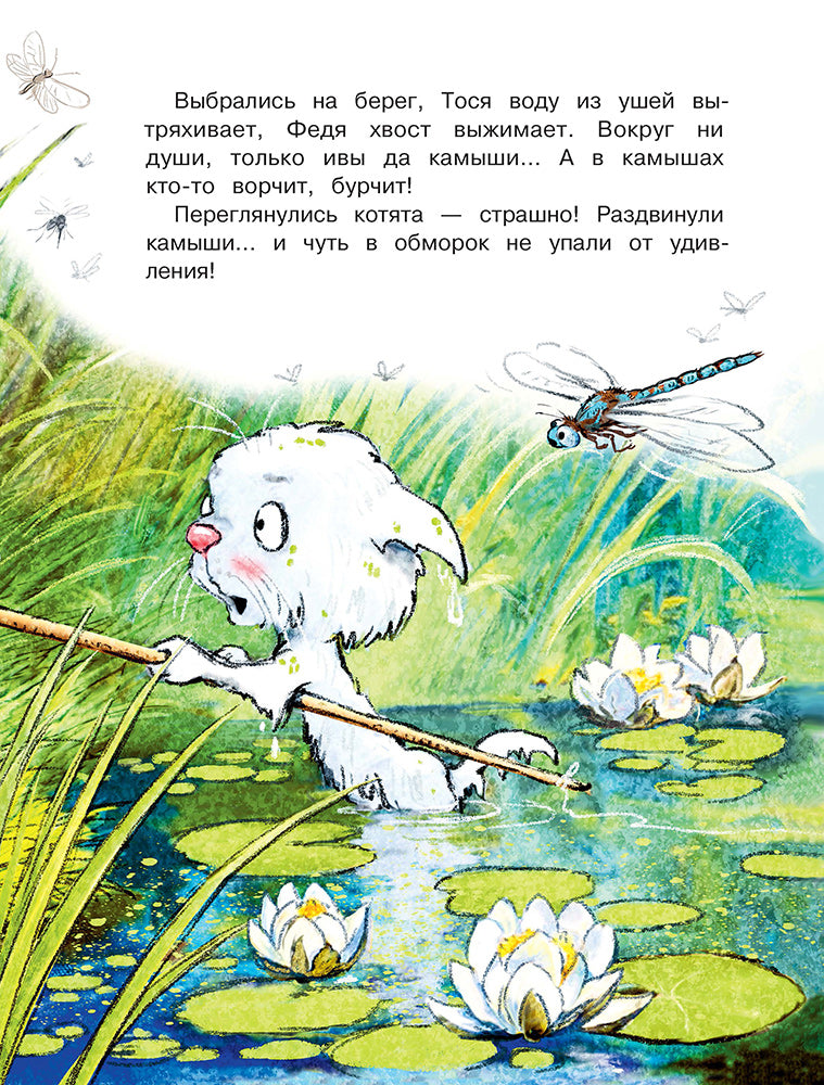 Zenuk. Comme Fedia, Vasya et Tosja sur les meubles