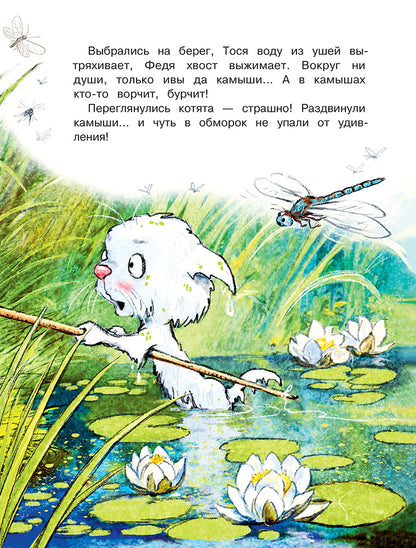 Zenuk. Comme Fedia, Vasya et Tosja sur les meubles