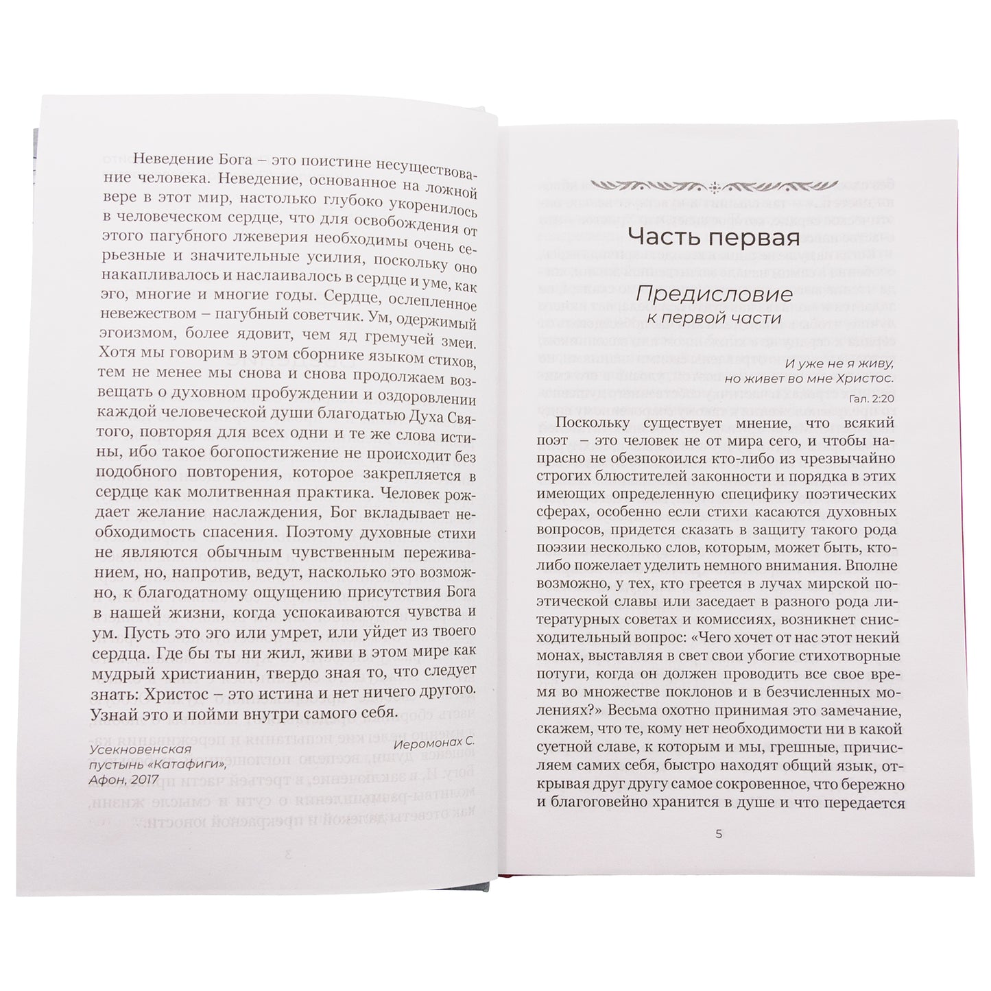 Душа безмолвия. Из выстраданного и пережитого