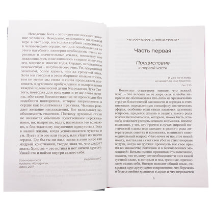 Душа безмолвия. Из выстраданного и пережитого