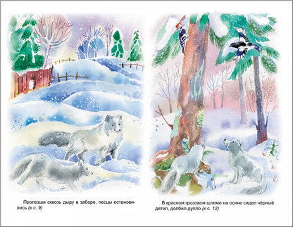 КовальЮ. Недопёсок (ВЧ)