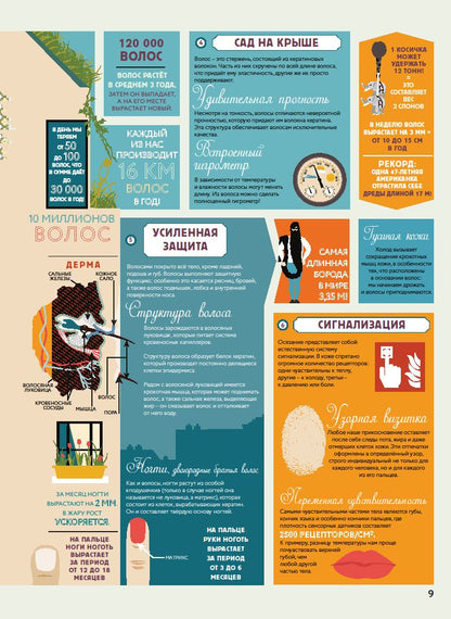 Anatomie. Carte de téléphone portable