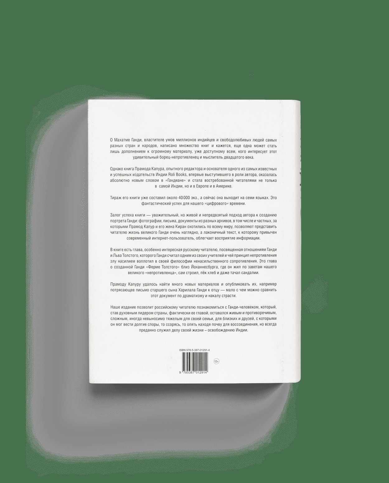 Ганди: Иллюстрированная биография (р1)