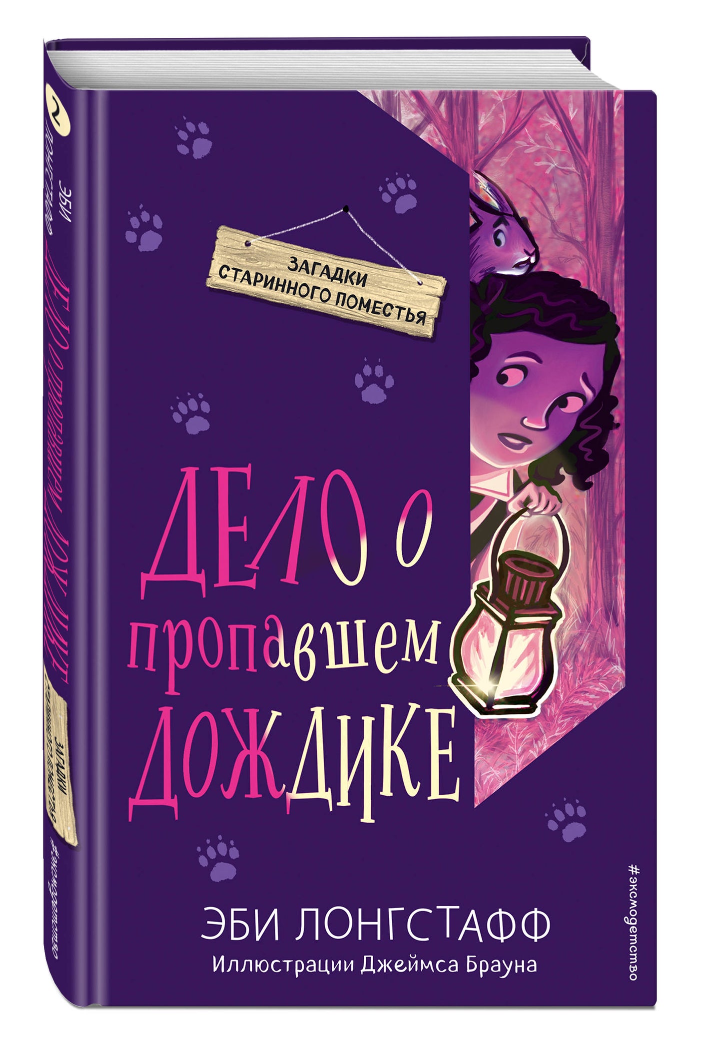 Дело о пропавшем Дождике (#2)