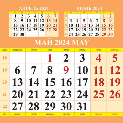Календарь с котятами на 2024 год. Переплет на скрепке (285*285 мм) 12 листов