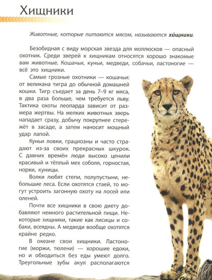 Пізнаємо та досліджуємо: Животный мир (р)