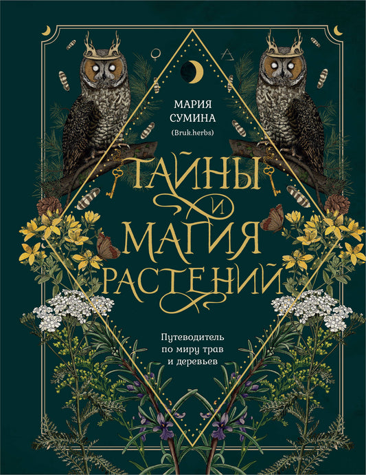Подарок зеленой ведьме и травнице! (Комплект Bruk.Herbs: книга+blokнот+закладка)