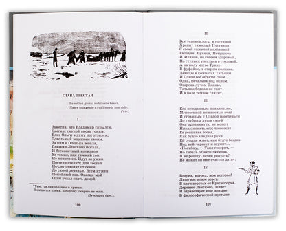 Евгений Онегин: роман в стихах
