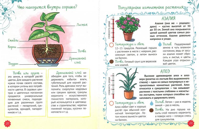 ЭНЦИКЛОПЕДИЯ ДЛЯ ДЕВОЧЕК. СЕКРЕТЫ СОВРЕМЕННОЙ ДЕВЧОНКИ