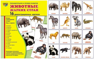 Демонстр. картинки"Животные жарких стр"(173х220мм)