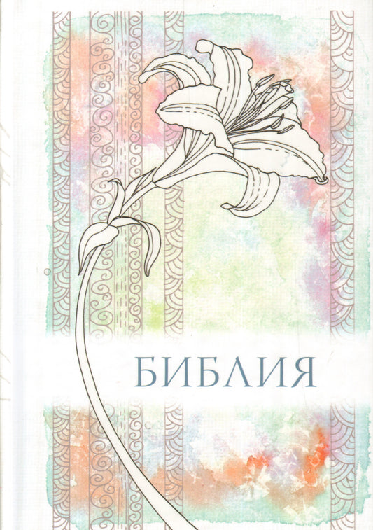 Б21БЗ Библия. (кожа, золот. тиснен.)