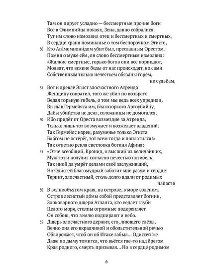 Одиссея. 2-е изд., испр