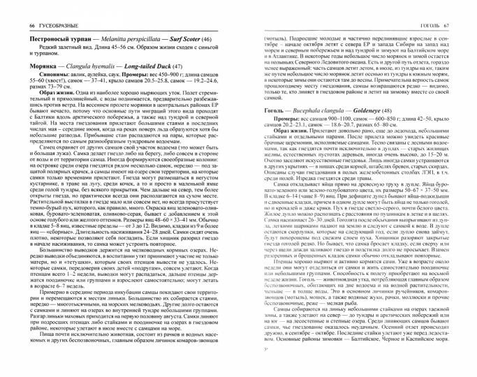 Птицы Европейской части России (Компл.в 2-х тт.)
