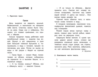 Чтение на "5": работа с текстом: 4 класс дп