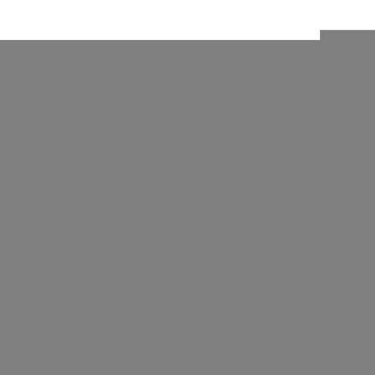 Пистолет (п) с глушителем, с пульками SP3855 в пак. в кор.2*48шт