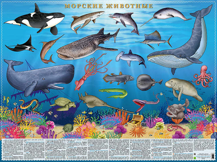 Морские животные. Цифры и факты.