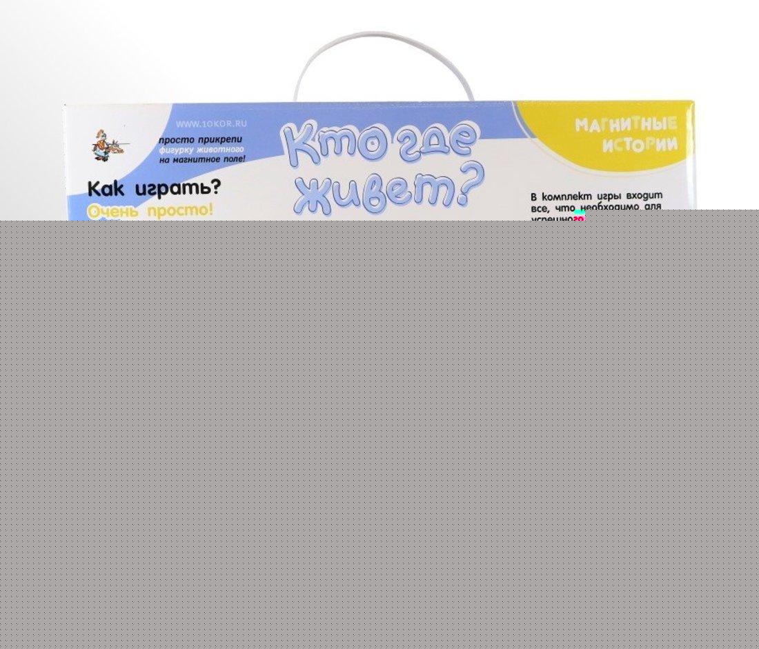 Игра магнитная развивающая. Магнитные истории "Кто где живет?"