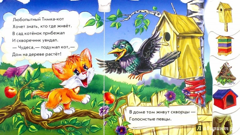 Вчимося разом (нові): Кто где живет (р)