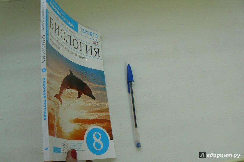 Биология. Мног. жив. орг 8кл[Р/т+ЕГЭ]син.Вертикаль