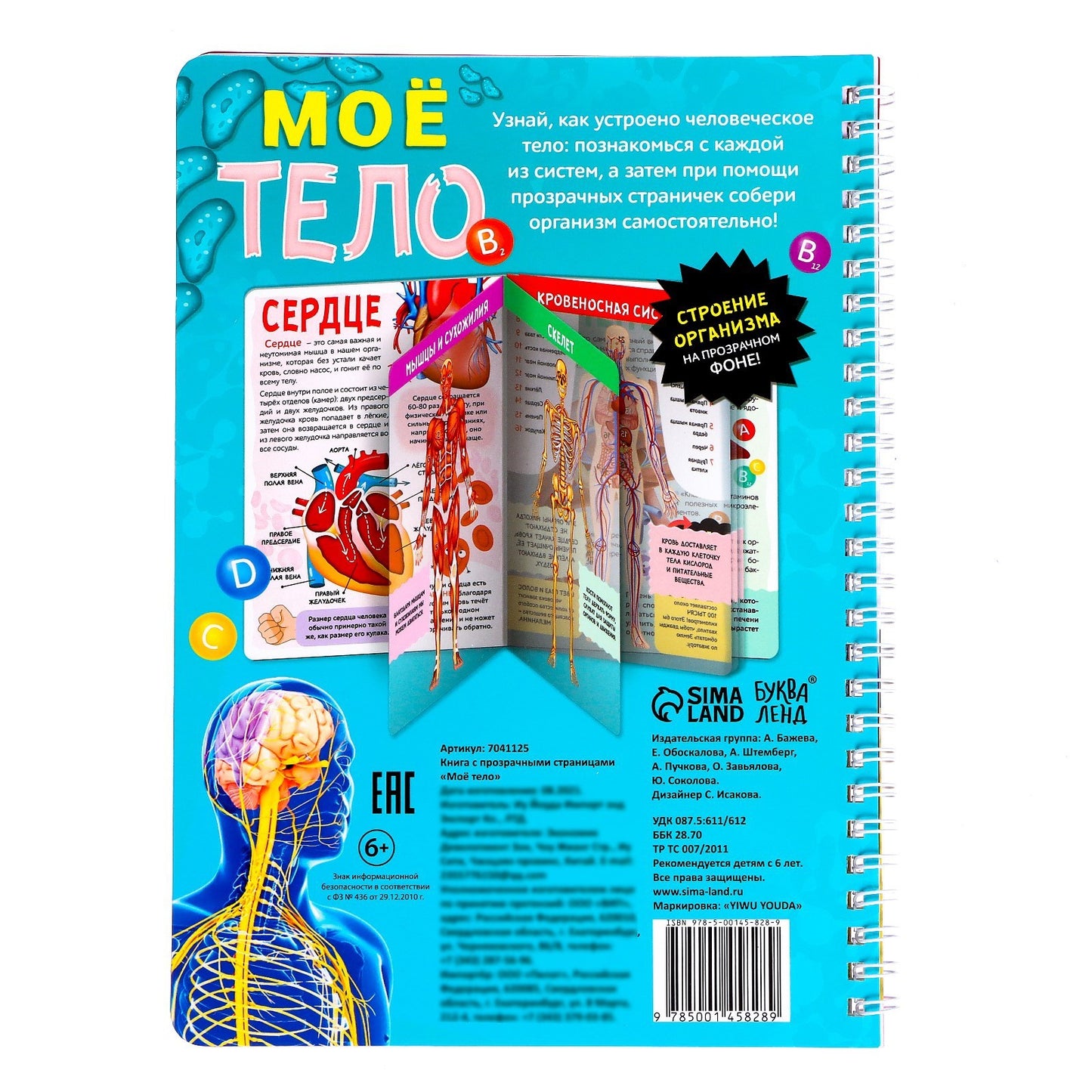Энциклопедия с прозрачными страницами «Моё тело», 32 стр.