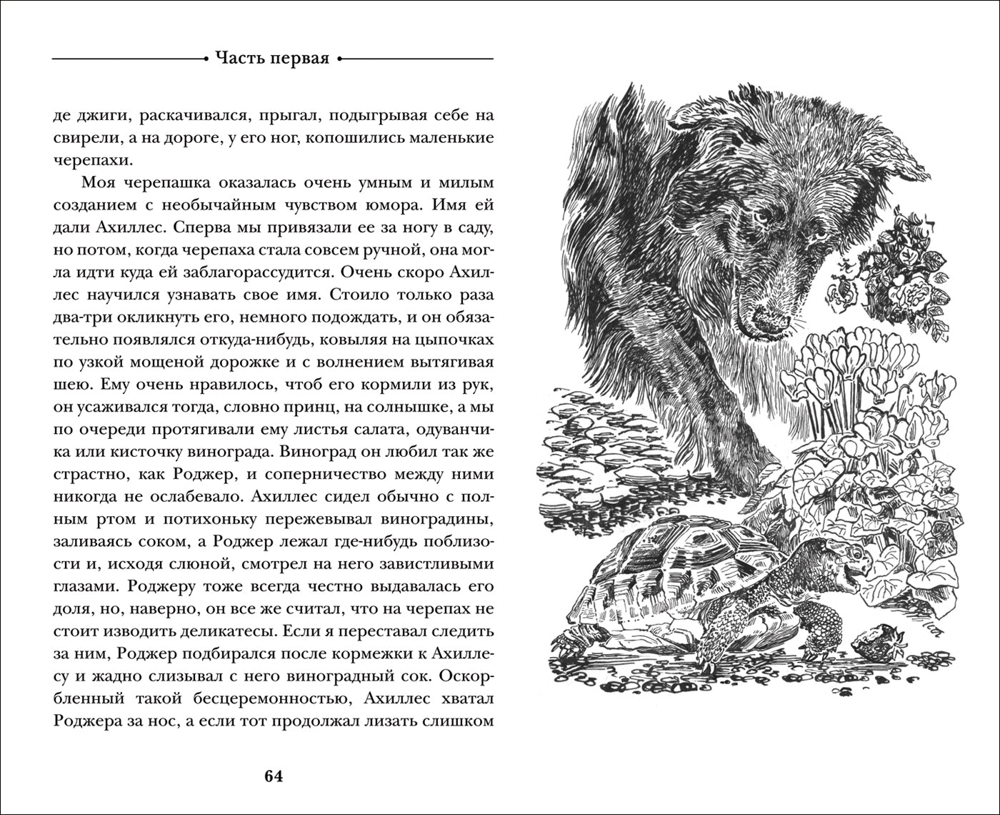 Даррелл Дж. Моя семья и другие звери