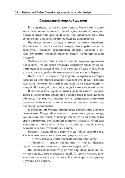 Мальчик со скрипкой. Шведские сказки, чудесные и невероятные