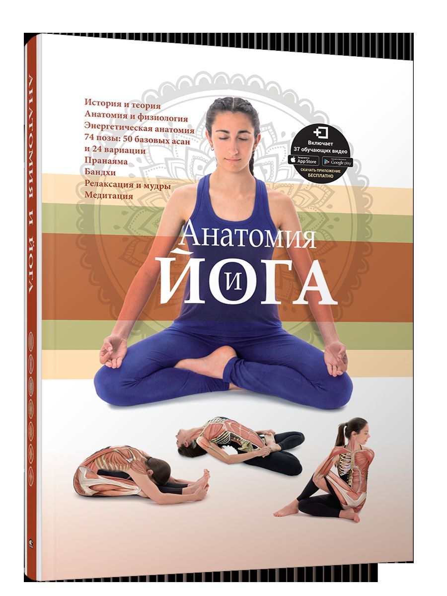 Anatomie et yoga