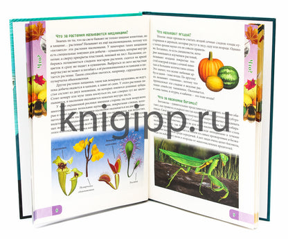 ЭНЦИКЛОПЕДИЯ. В МИРЕ ЗНАНИЙ. ЧТО? BON ? ЗАЧЕМ?