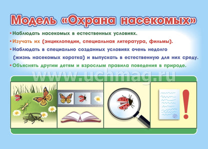 ФГОС ДО Развитие экологической культуры детей 5-8 лет. Комплект Мир животных. Образовательная область "Познавательное развитие". (32 цветные односторонние иллюстрации, 8 черно-белых двухсторонних карт, формат А4)
