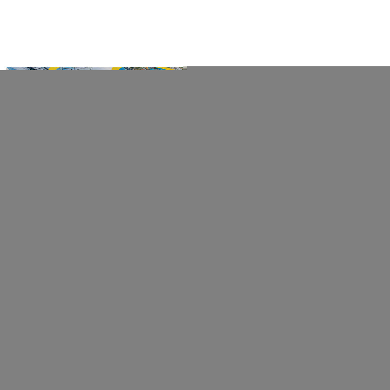 85419 Mosaïque "puzzle" 4000 "Порту, Portugal"