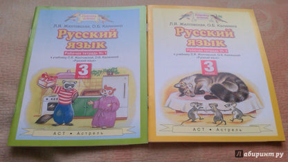 Русский язык. 3 класс. Рабочая тетрадь № 2