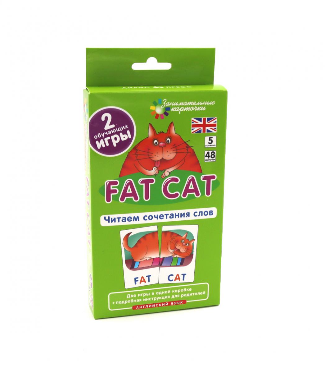 Игровой развивающий набор: Толстый кот. Gros chat. Читаем сочетания слов. Английский язык. (5 уровень. 48 cartes)