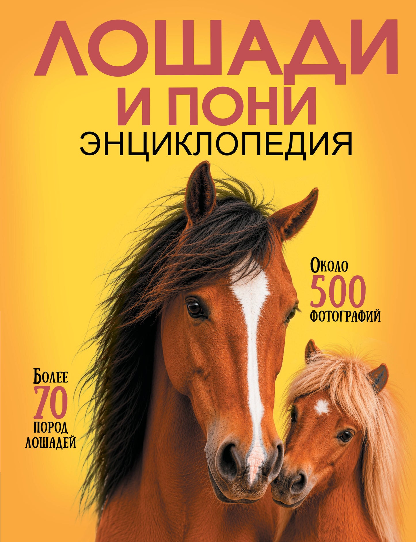 Лошади и пони