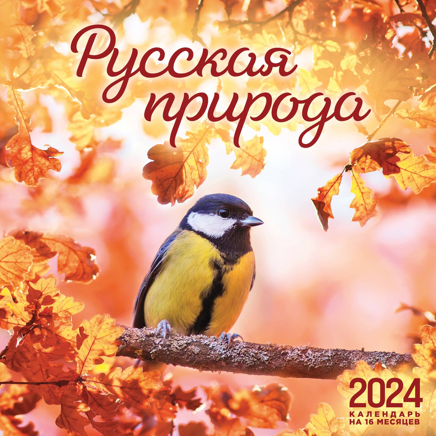 Русская природа. Calendrier du 16 mois de 2024 (300х300 mm)