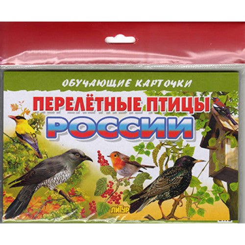 Карточки (европодвес). Перелетные птицы России; Карточки (европодвес). Перелетные птицы России