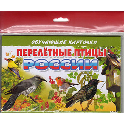 Карточки (европодвес). Перелетные птицы России; Карточки (европодвес). Перелетные птицы России