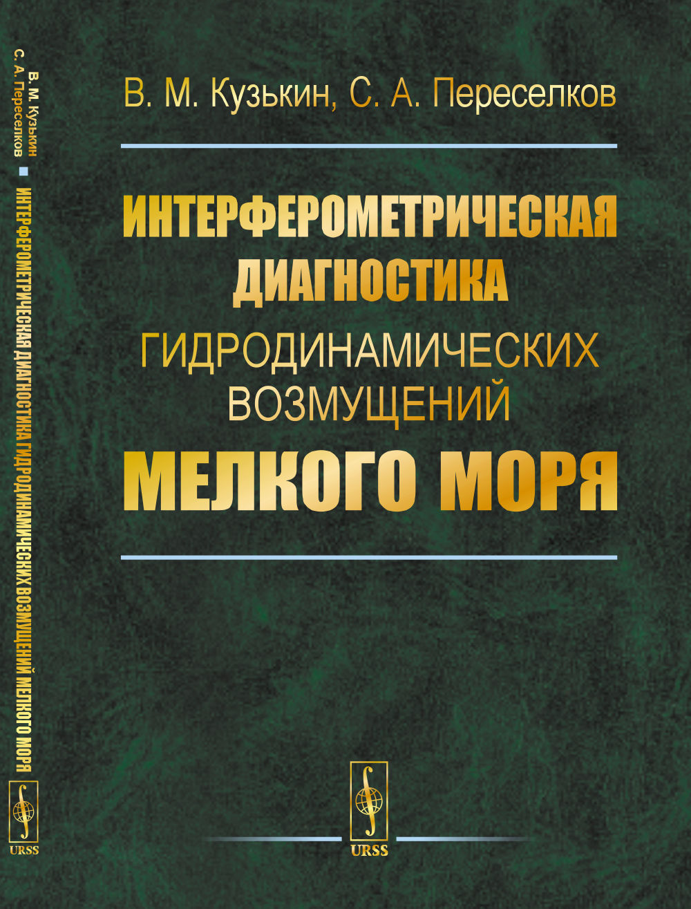 Интерферометрическая диагностика гидродинамических возмущений мелкого моря