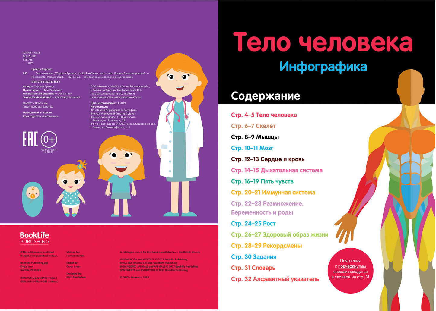 Тело человека: infographie