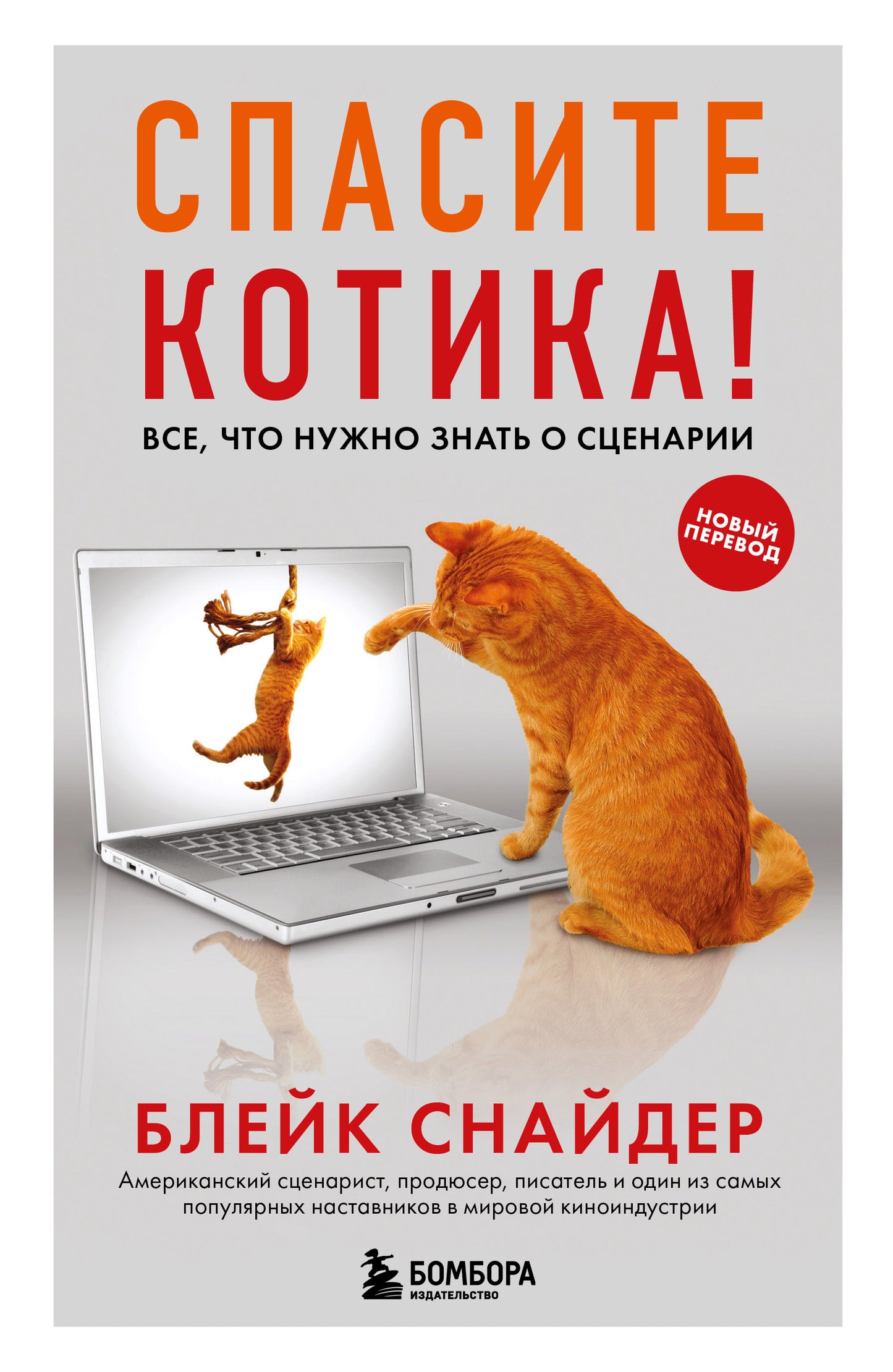 Спасите котика! Все, что нужно знать о сценарии (обновленное издание)