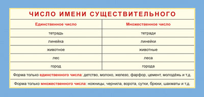 ШМ-13218 Карточка-шпаргалка. Число имени существительного (формат 61х131 мм)